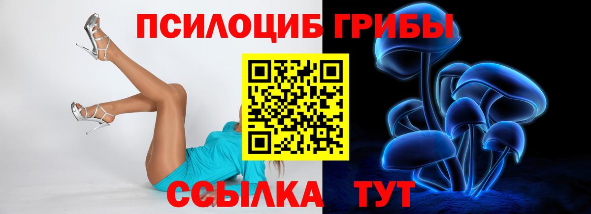 Галлюциногенные грибы Magic Shrooms  Галлюциногенные грибы Psilocybe  Юрга  Вход с VPN 
